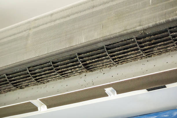 Home Air Vent Cleaning in Lake Mohegan, NY